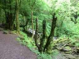 Irland 2013